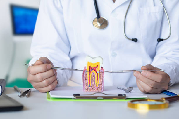 Best Emergency Dentist for Lost Fillings or Crowns in Burnet, TX